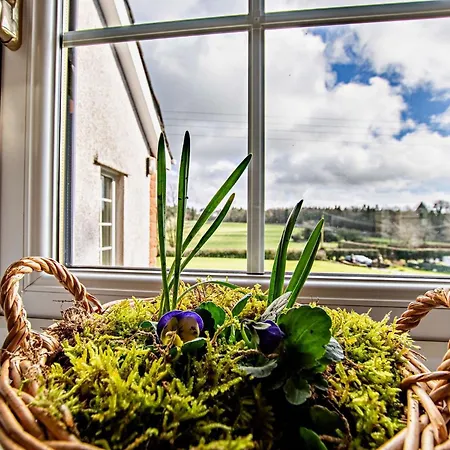 Holiday home 3 Bed In Cockermouth 90920